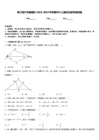 浙江绍兴市越城区2023-2024学年数学八上期末达标检测试题含答案