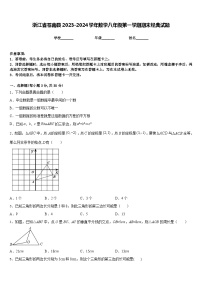 浙江省苍南县2023-2024学年数学八年级第一学期期末经典试题含答案