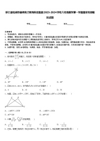 浙江省杭州市锦绣育才教育科技集团2023-2024学年八年级数学第一学期期末检测模拟试题含答案