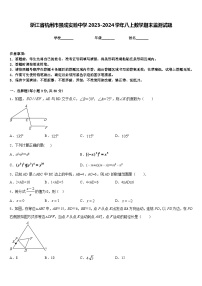 浙江省杭州市景成实验中学2023-2024学年八上数学期末监测试题含答案