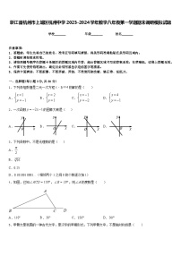 浙江省杭州市上城区杭州中学2023-2024学年数学八年级第一学期期末调研模拟试题含答案