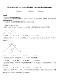 浙江省绍兴市名校2023-2024学年数学八上期末质量跟踪监视模拟试题含答案