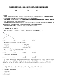 浙江省衢州市常山县2023-2024学年数学八上期末监测模拟试题含答案