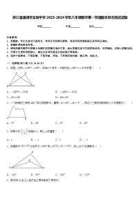 浙江省温州市实验中学2023-2024学年八年级数学第一学期期末综合测试试题含答案