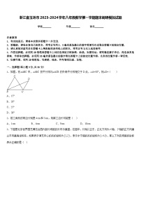 浙江省玉环市2023-2024学年八年级数学第一学期期末调研模拟试题含答案