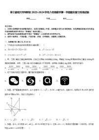 浙江省绍兴市柯桥区2023-2024学年八年级数学第一学期期末复习检测试题含答案