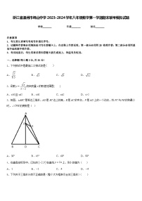 浙江省温州市绣山中学2023-2024学年八年级数学第一学期期末联考模拟试题含答案