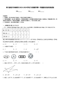 浙江省绍兴市嵊州市2023-2024学年八年级数学第一学期期末质量检测试题含答案