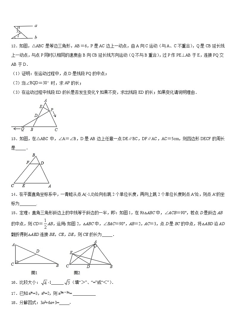 浙江省绍兴市嵊州市2023-2024学年八年级数学第一学期期末质量检测试题含答案第3页