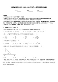 湖北省鄂州市名校2023-2024学年八上数学期末检测试题含答案