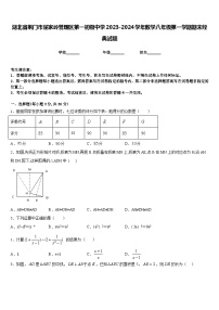 湖北省荆门市屈家岭管理区第一初级中学2023-2024学年数学八年级第一学期期末经典试题含答案