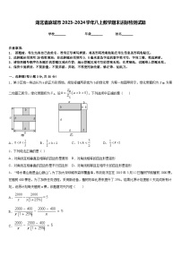 湖北省麻城市2023-2024学年八上数学期末达标检测试题含答案