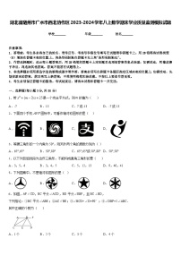 湖北省随州市广水市西北协作区2023-2024学年八上数学期末学业质量监测模拟试题含答案