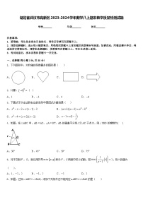 湖北省武汉市高新区2023-2024学年数学八上期末教学质量检测试题含答案