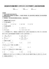 湖北省武汉市武昌区第四十六中学2023-2024学年数学八上期末质量检测试题含答案