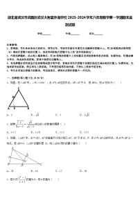 湖北省武汉市武昌区武汉大附属外语学校2023-2024学年八年级数学第一学期期末监测试题含答案