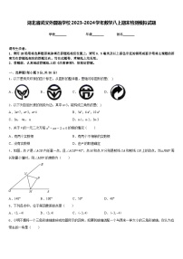 湖北省武汉外国语学校2023-2024学年数学八上期末检测模拟试题含答案