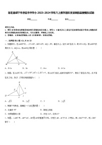 湖北省咸宁市赤壁市中学小2023-2024学年八上数学期末质量跟踪监视模拟试题含答案