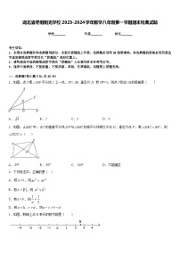 湖北省枣阳阳光学校2023-2024学年数学八年级第一学期期末经典试题含答案