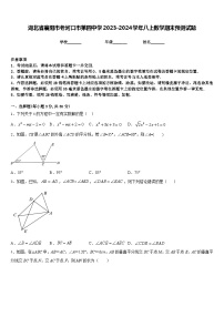 湖北省襄阳市老河口市第四中学2023-2024学年八上数学期末预测试题含答案