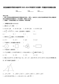 湖北省襄阳市枣阳市徐寨中学2023-2024学年数学八年级第一学期期末检测模拟试题含答案