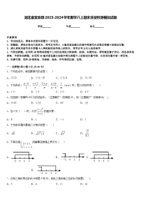 湖北省宣恩县2023-2024学年数学八上期末质量检测模拟试题含答案