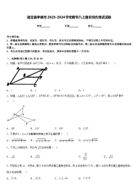 湖北省孝感市2023-2024学年数学八上期末综合测试试题含答案