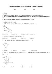 湖北省宜昌市高新区2023-2024学年八上数学期末预测试题含答案