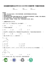 湖北省襄阳市襄州区龙王中学2023-2024学年八年级数学第一学期期末检测试题含答案