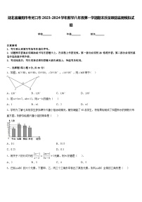 湖北省襄阳市老河口市2023-2024学年数学八年级第一学期期末质量跟踪监视模拟试题含答案