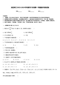 湖北荆门2023-2024学年数学八年级第一学期期末检测试题含答案