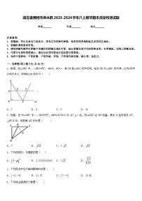 湖北省黄冈市浠水县2023-2024学年八上数学期末质量检测试题含答案