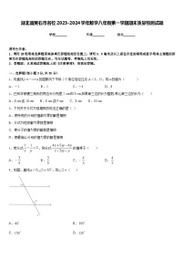 湖北省黄石市名校2023-2024学年数学八年级第一学期期末质量检测试题含答案