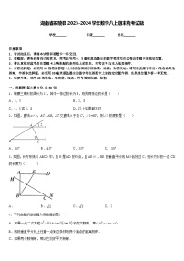 湖南省茶陵县2023-2024学年数学八上期末统考试题含答案