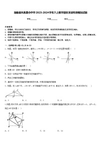 湖南省凤凰皇仓中学2023-2024学年八上数学期末质量检测模拟试题含答案