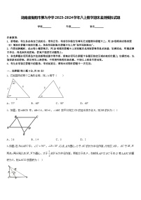 湖南省衡阳市第九中学2023-2024学年八上数学期末监测模拟试题含答案