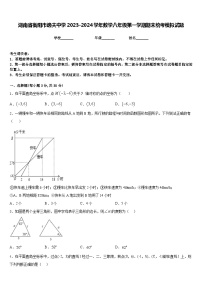 湖南省衡阳市逸夫中学2023-2024学年数学八年级第一学期期末统考模拟试题含答案