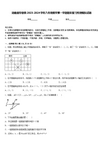 湖南省华容县2023-2024学年八年级数学第一学期期末复习检测模拟试题含答案