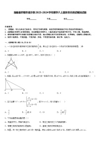 湖南省邵阳市城步县2023-2024学年数学八上期末综合测试模拟试题含答案