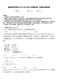 湖南省邵阳市城区2023-2024学年八年级数学第一学期期末监测试题含答案