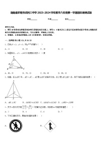 湖南省邵阳市武冈三中学2023-2024学年数学八年级第一学期期末调研试题含答案