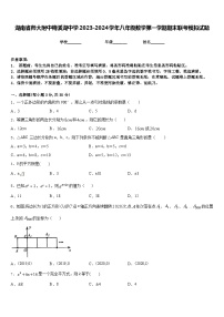 湖南省师大附中梅溪湖中学2023-2024学年八年级数学第一学期期末联考模拟试题含答案