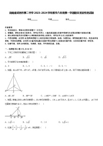 湖南省武冈市第二中学2023-2024学年数学八年级第一学期期末质量检测试题含答案