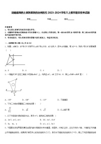 湖南省湘西土家族苗族自治州名校2023-2024学年八上数学期末统考试题含答案