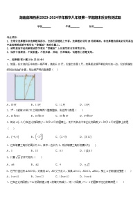 湖南省湘西州2023-2024学年数学八年级第一学期期末质量检测试题含答案