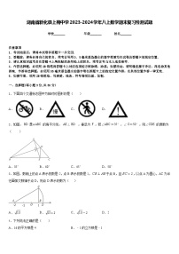 湖南省新化县上梅中学2023-2024学年八上数学期末复习检测试题含答案