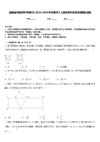 湖南省岳阳汨罗市弼时片2023-2024学年数学八上期末教学质量检测模拟试题含答案