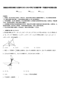 湖南省永州零冷两区七校联考2023-2024学年八年级数学第一学期期末考试模拟试题含答案