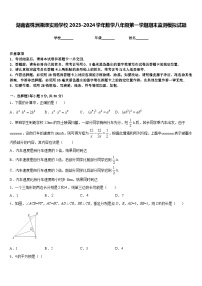 湖南省株洲湘渌实验学校2023-2024学年数学八年级第一学期期末监测模拟试题含答案