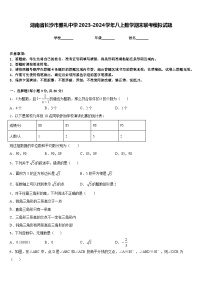 湖南省长沙市雅礼中学2023-2024学年八上数学期末联考模拟试题含答案